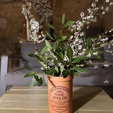 Le Reve De Breuillac